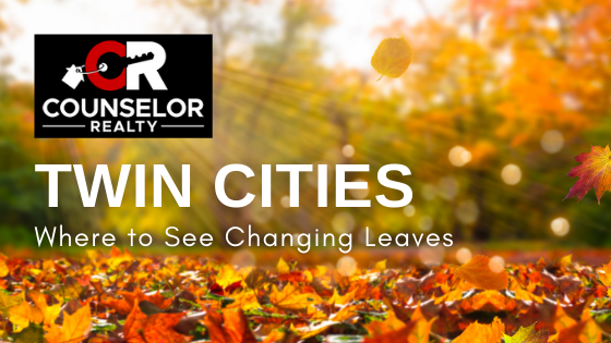 Fall Leaves - Twin Cities - Counselor Realty